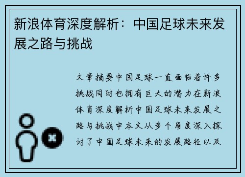 新浪体育深度解析：中国足球未来发展之路与挑战